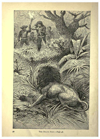 Reproducción/Reproduction 6221061860: Forest and jungle, or, Thrilling adventures in all quarters of the globe Chicago ;The Werner Company,1896