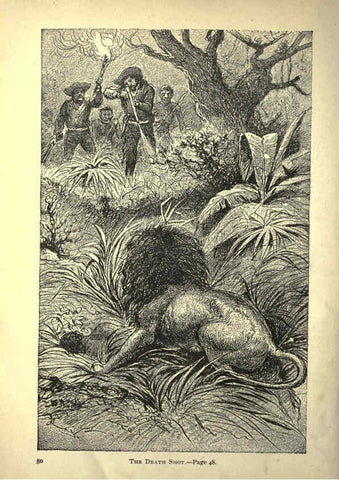 Reproducción/Reproduction 6221061860: Forest and jungle, or, Thrilling adventures in all quarters of the globe Chicago ;The Werner Company,1896