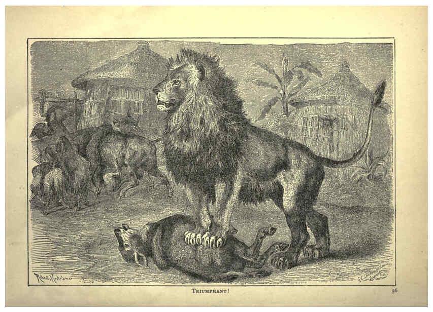 Reproducción/Reproduction 6221062008: Forest and jungle, or, Thrilling adventures in all quarters of the globe Chicago ;The Werner Company,1896