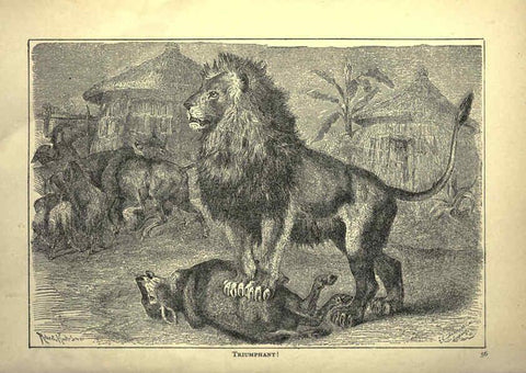 Reproducción/Reproduction 6221062008: Forest and jungle, or, Thrilling adventures in all quarters of the globe Chicago ;The Werner Company,1896