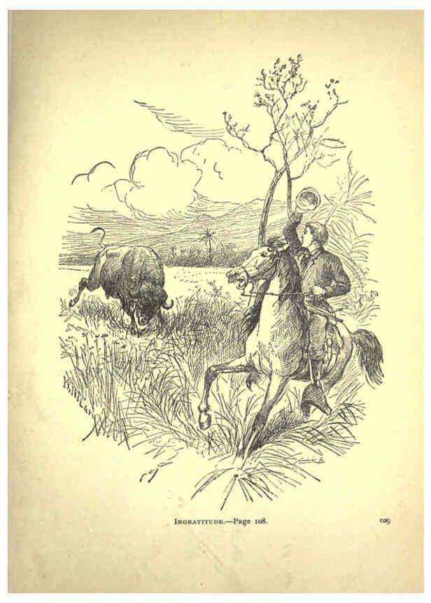 Reproducción/Reproduction 6220542105: Forest and jungle, or, Thrilling adventures in all quarters of the globe Chicago ;The Werner Company,1896