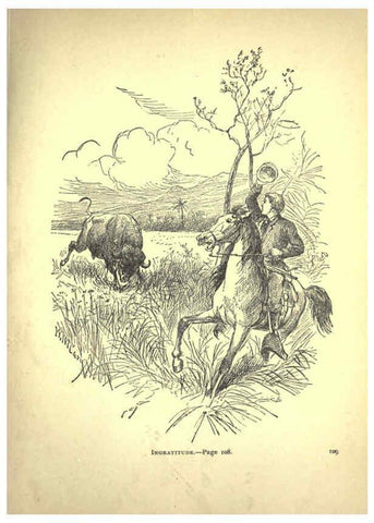 Reproducción/Reproduction 6220542105: Forest and jungle, or, Thrilling adventures in all quarters of the globe Chicago ;The Werner Company,1896