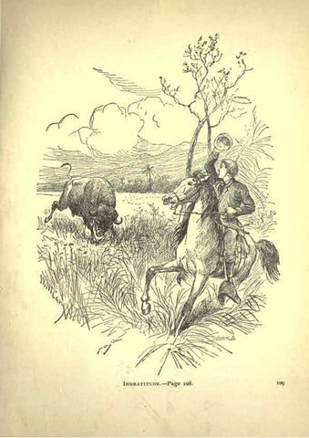 Reproducción/Reproduction 6220542105: Forest and jungle, or, Thrilling adventures in all quarters of the globe Chicago ;The Werner Company,1896
