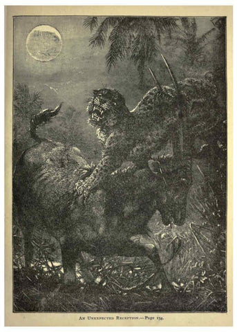 Reproducción/Reproduction 6221062656: Forest and jungle, or, Thrilling adventures in all quarters of the globe Chicago ;The Werner Company,1896