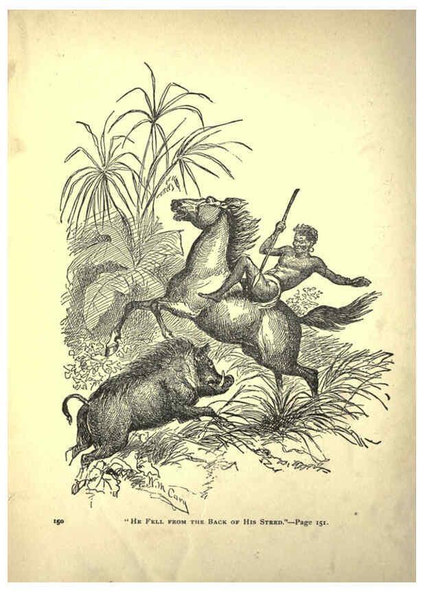 Reproducción/Reproduction 6220542439: Forest and jungle, or, Thrilling adventures in all quarters of the globe Chicago ;The Werner Company,1896