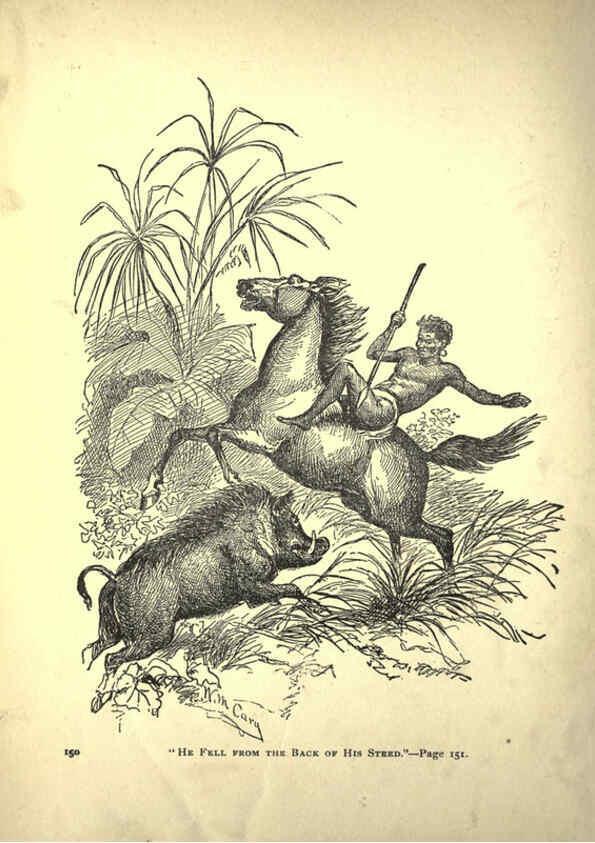 Reproducción/Reproduction 6220542439: Forest and jungle, or, Thrilling adventures in all quarters of the globe Chicago ;The Werner Company,1896