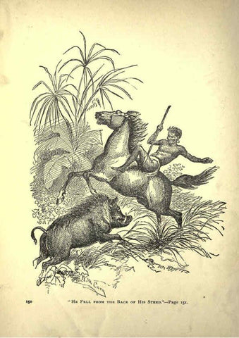 Reproducción/Reproduction 6220542439: Forest and jungle, or, Thrilling adventures in all quarters of the globe Chicago ;The Werner Company,1896