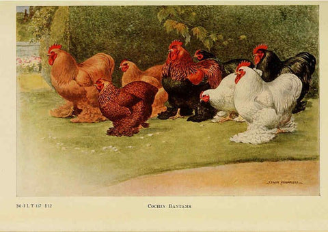 Reproducción/Reproduction 6220291875: The book of poultry New York,The Macmillan Company,1921