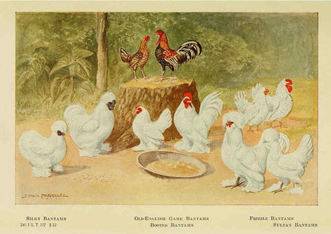 Reproducción/Reproduction 6220293021: The book of poultry New York,The Macmillan Company,1921