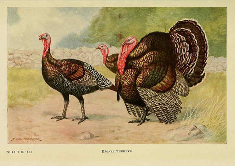Reproducción/Reproduction 6220293609: The book of poultry New York,The Macmillan Company,1921