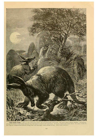 Reproducción/Reproduction 6220691042: Brehm's Life of animals : Volume 1, Mammalia Chicago :Marquis,1895