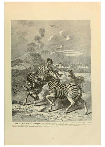 Reproducción/Reproduction 6220691848: Brehm's Life of animals : Volume 1, Mammalia Chicago :Marquis,1895
