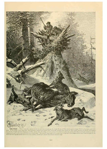 Reproducción/Reproduction 6220161245: Brehm's Life of animals : Volume 1, Mammalia Chicago :Marquis,1895