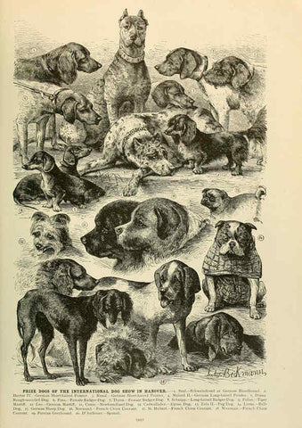 Reproducción/Reproduction 6220161571: Brehm's Life of animals : Volume 1, Mammalia Chicago :Marquis,1895