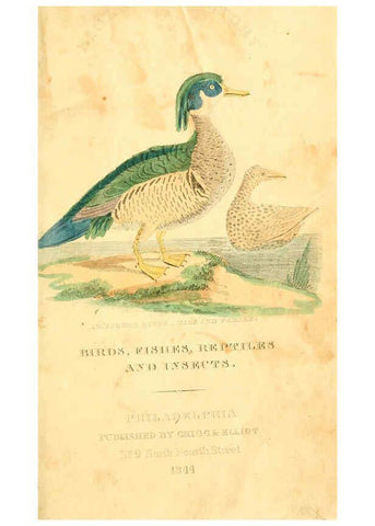 Reproducción/Reproduction 6198145354: A natural history of birds, fishes, reptiles, and insects Philadelphia :Grigg & Elliot,1845