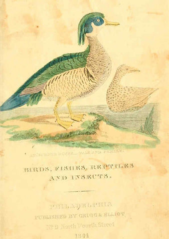Reproducción/Reproduction 6198145354: A natural history of birds, fishes, reptiles, and insects Philadelphia :Grigg & Elliot,1845