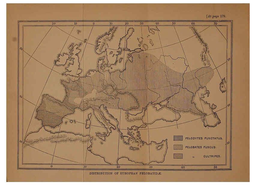 Reproducción/Reproduction 6216966585: The tailless batrachians of Europe. v.1. London :Printed for the Ray society,1897-98