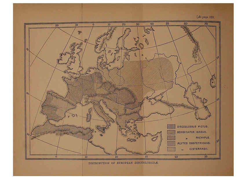 Reproducción/Reproduction 6216965685: The tailless batrachians of Europe. v.1. London :Printed for the Ray society,1897-98