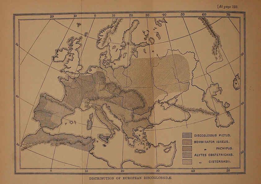 Reproducción/Reproduction 6216965685: The tailless batrachians of Europe. v.1. London :Printed for the Ray society,1897-98