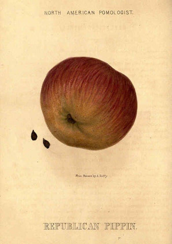 Reproducción/Reproduction 6048899547: Hoffy's North American pomologist Philadelphia,A. Hoffy,1860