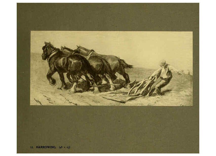 Reproducción/Reproduction 6049482140: Horses and movement London ;Cassell,1921