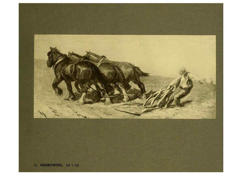 Reproducción/Reproduction 6049482140: Horses and movement London ;Cassell,1921