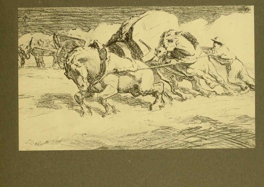 Reproducción/Reproduction 6049486290: Horses and movement London ;Cassell,1921