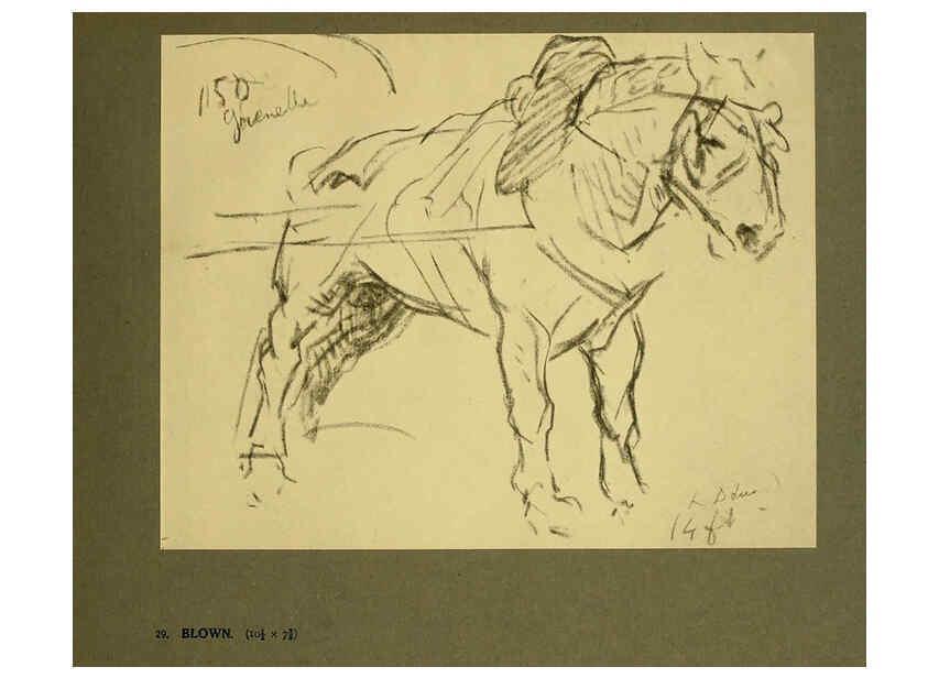 Reproducción/Reproduction 6049486088: Horses and movement London ;Cassell,1921