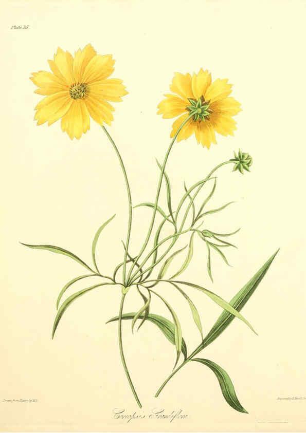 Reproducción/Reproduction 6048970193: Floral illustrations of the seasons London,Robert Havell,1831 [i.e. 1829] 