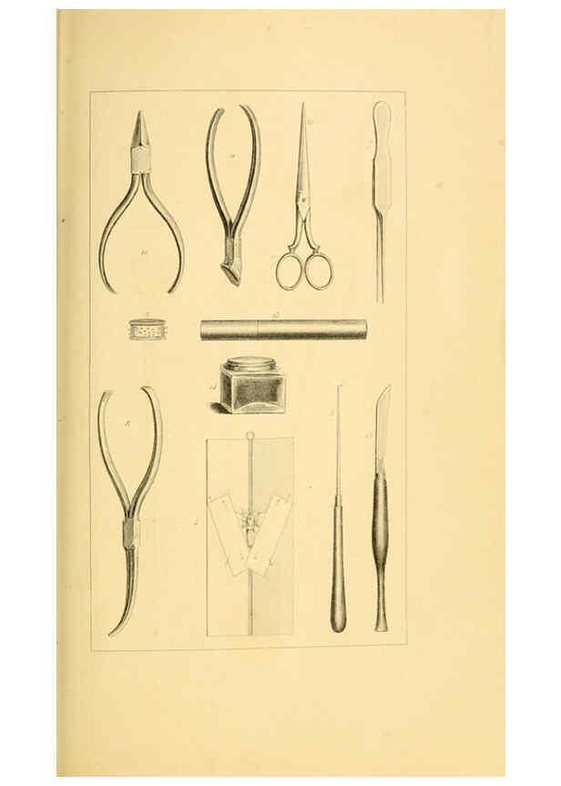 Reproducción/Reproduction 6053789346: Histoire naturelle des lépidoptères d'Europe Paris :L. de Bure,1845