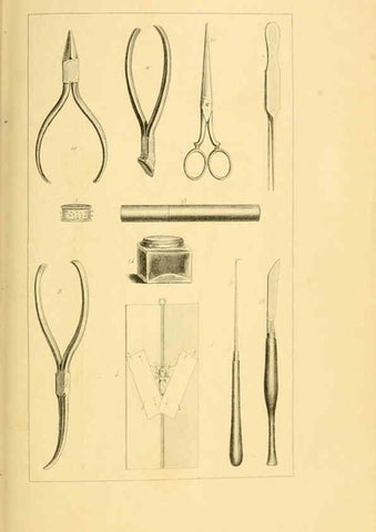 Reproducción/Reproduction 6053789346: Histoire naturelle des lépidoptères d'Europe Paris :L. de Bure,1845