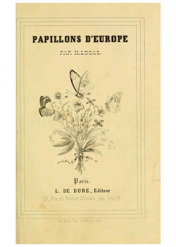 Reproducción/Reproduction 6053174829: Histoire naturelle des lépidoptères d'Europe Paris :L. de Bure,1845