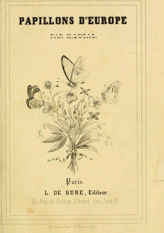 Reproducción/Reproduction 6053174829: Histoire naturelle des lépidoptères d'Europe Paris :L. de Bure,1845