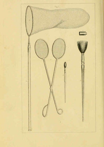 Reproducción/Reproduction 6053238733: Histoire naturelle des lépidoptères d'Europe Paris :L. de Bure,1845