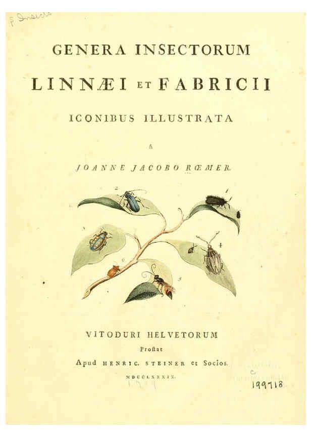 Reproducción/Reproduction 6053192088: Genera insectorum Linnaei et Fabricii iconibus illustrata. c.1 Vitoduri Helvetorum :Prostat apud Henric. Steiner et Socios,MDCCLXXXIX [1789] 