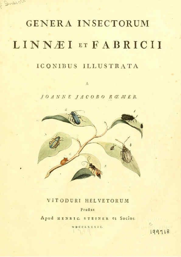 Reproducción/Reproduction 6053192088: Genera insectorum Linnaei et Fabricii iconibus illustrata. c.1 Vitoduri Helvetorum :Prostat apud Henric. Steiner et Socios,MDCCLXXXIX [1789] 
