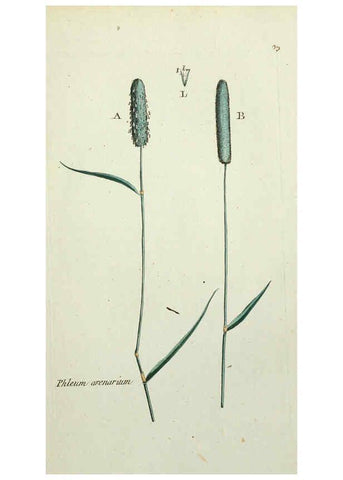 Reproducción/Reproduction 6055476163: Flora Parisiensis. v.1. Paris,P.F. Didot,1776-1783