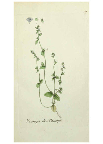 Reproducción/Reproduction 6055470263: Flora Parisiensis. v.1. Paris,P.F. Didot,1776-1783