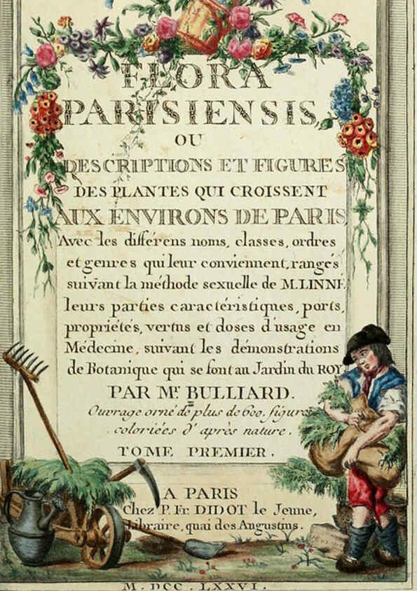 Reproducción/Reproduction 6056014736: Flora Parisiensis. v.1. Paris,P.F. Didot,1776-1783