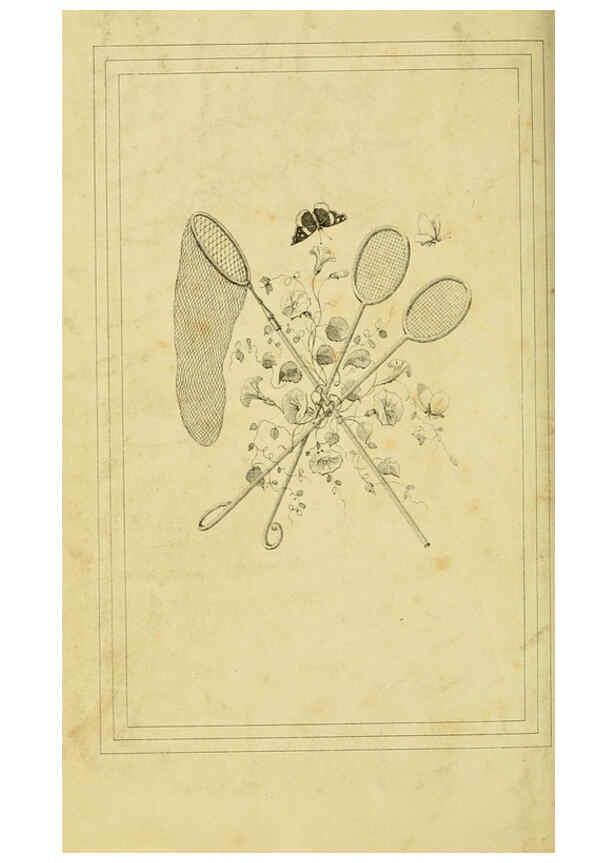 Reproducción/Reproduction 6053878196: Histoire naturelle des lépidoptères d'Europe Paris :L. de Bure,1845