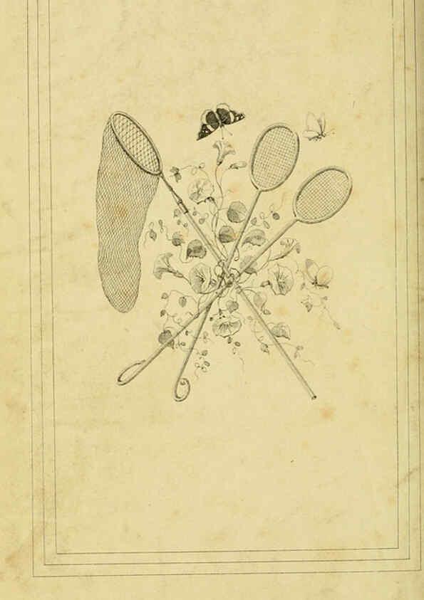 Reproducción/Reproduction 6053878196: Histoire naturelle des lépidoptères d'Europe Paris :L. de Bure,1845
