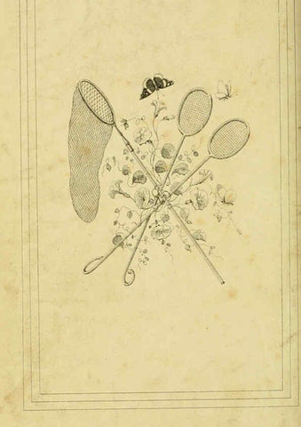 Reproducción/Reproduction 6053878196: Histoire naturelle des lépidoptères d'Europe Paris :L. de Bure,1845