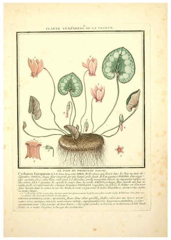 Reproducción/Reproduction 6050075668: Herbier de la France. 1-48. Paris,Chez l'auteur, Didot, Debure, Belin,1780-93