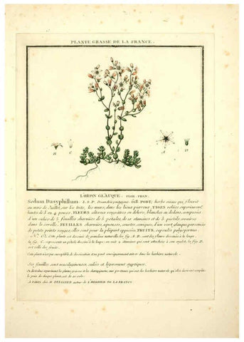 Reproducción/Reproduction 6049524593: Herbier de la France. 1-48. Paris,Chez l'auteur, Didot, Debure, Belin,1780-93
