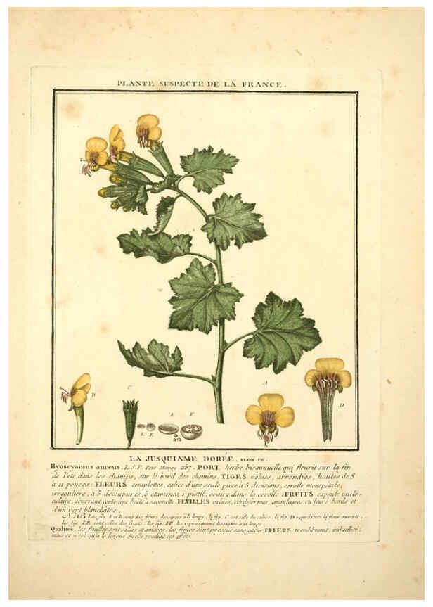 Reproducción/Reproduction 6049527515: Herbier de la France. 1-48. Paris,Chez l'auteur, Didot, Debure, Belin,1780-93