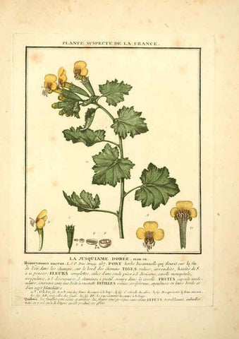 Reproducción/Reproduction 6049527515: Herbier de la France. 1-48. Paris,Chez l'auteur, Didot, Debure, Belin,1780-93