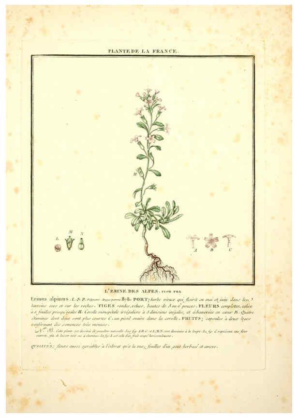 Reproducción/Reproduction 6050075278: Herbier de la France. 1-48. Paris,Chez l'auteur, Didot, Debure, Belin,1780-93