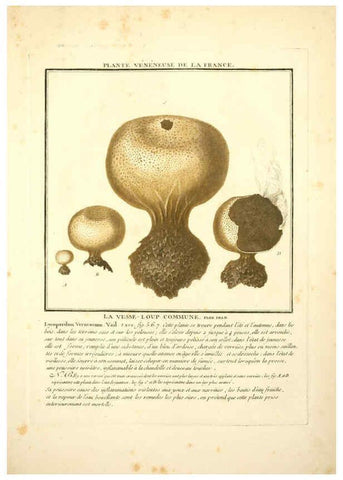 Reproducción/Reproduction 6050081424: Herbier de la France. 1-48. Paris,Chez l'auteur, Didot, Debure, Belin,1780-93
