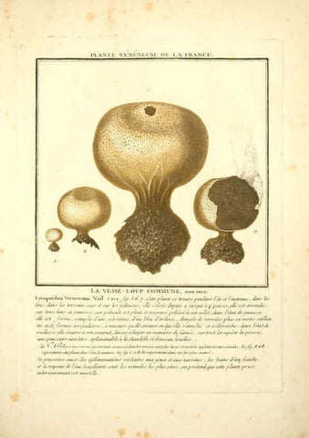 Reproducción/Reproduction 6050081424: Herbier de la France. 1-48. Paris,Chez l'auteur, Didot, Debure, Belin,1780-93