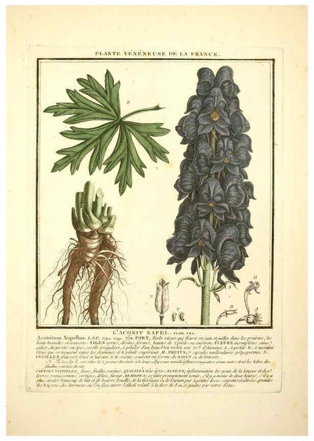 Reproducción/Reproduction 6050089964: Herbier de la France. 1-48. Paris,Chez l'auteur, Didot, Debure, Belin,1780-93